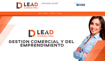 Lead Consultora